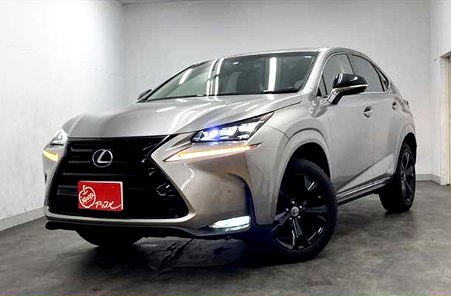 lexus_NX300h_img